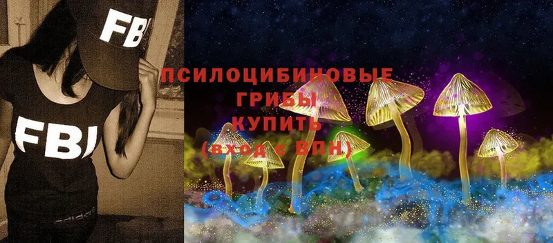 Галлюциногенные грибы Psilocybe  Сортавала 